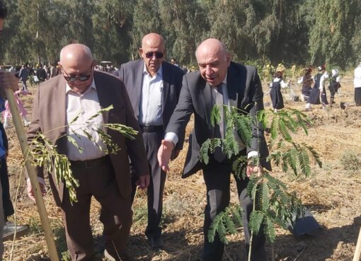 الحملة الكبرى للتشجير في محافظة نينوى